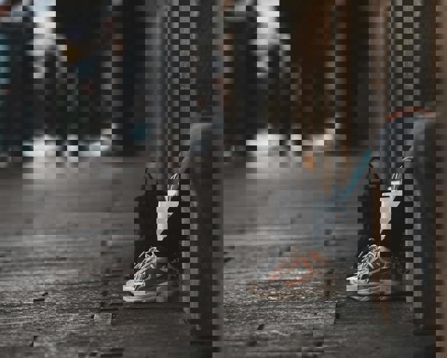 Rare Urban Fox Encounter Rattles Shoppers at City Centre Plaza